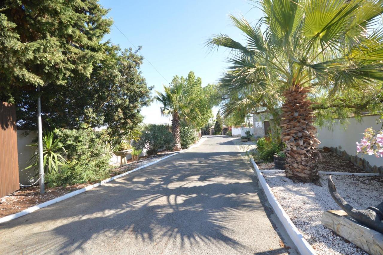 Estudios Con Piscina Compartida En Conil. Cádiz Eksteriør billede