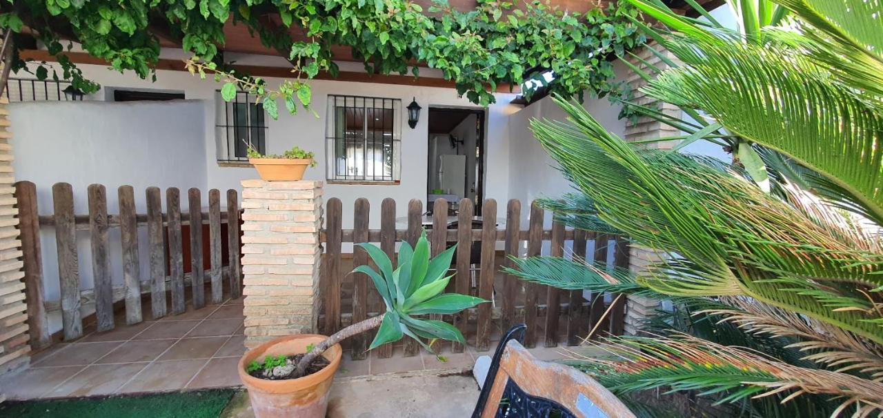 Estudios Con Piscina Compartida En Conil. Cádiz Eksteriør billede