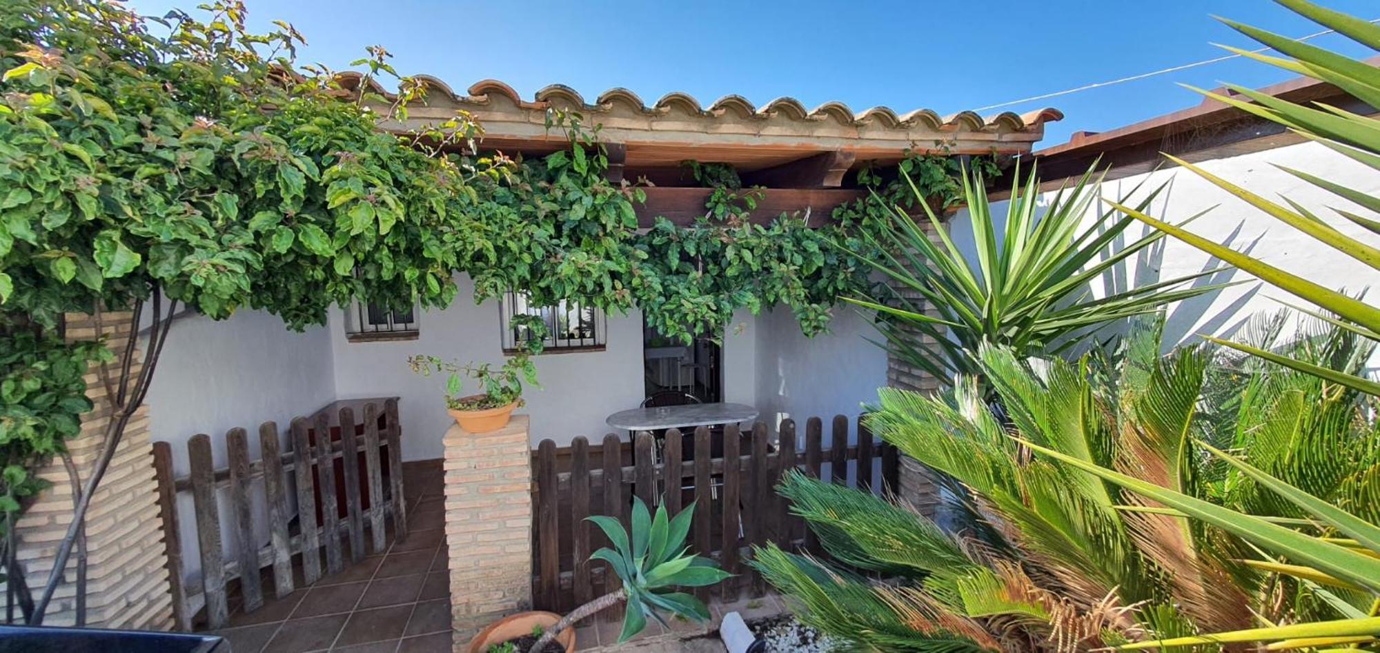 Estudios Con Piscina Compartida En Conil. Cádiz Eksteriør billede